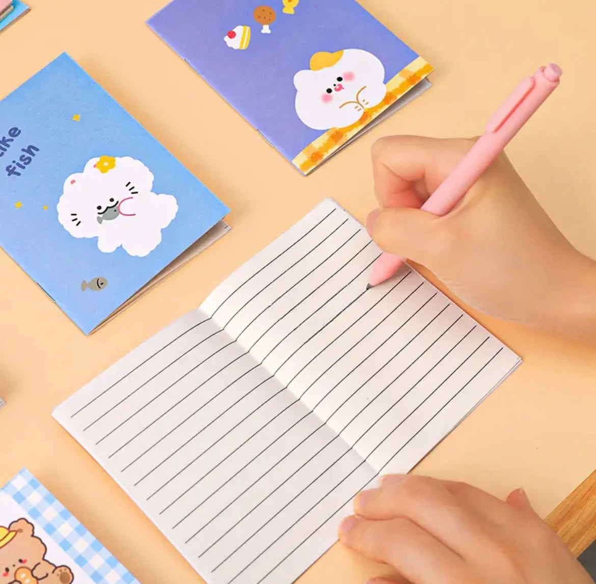 Limited Edition: Mini Notebooks