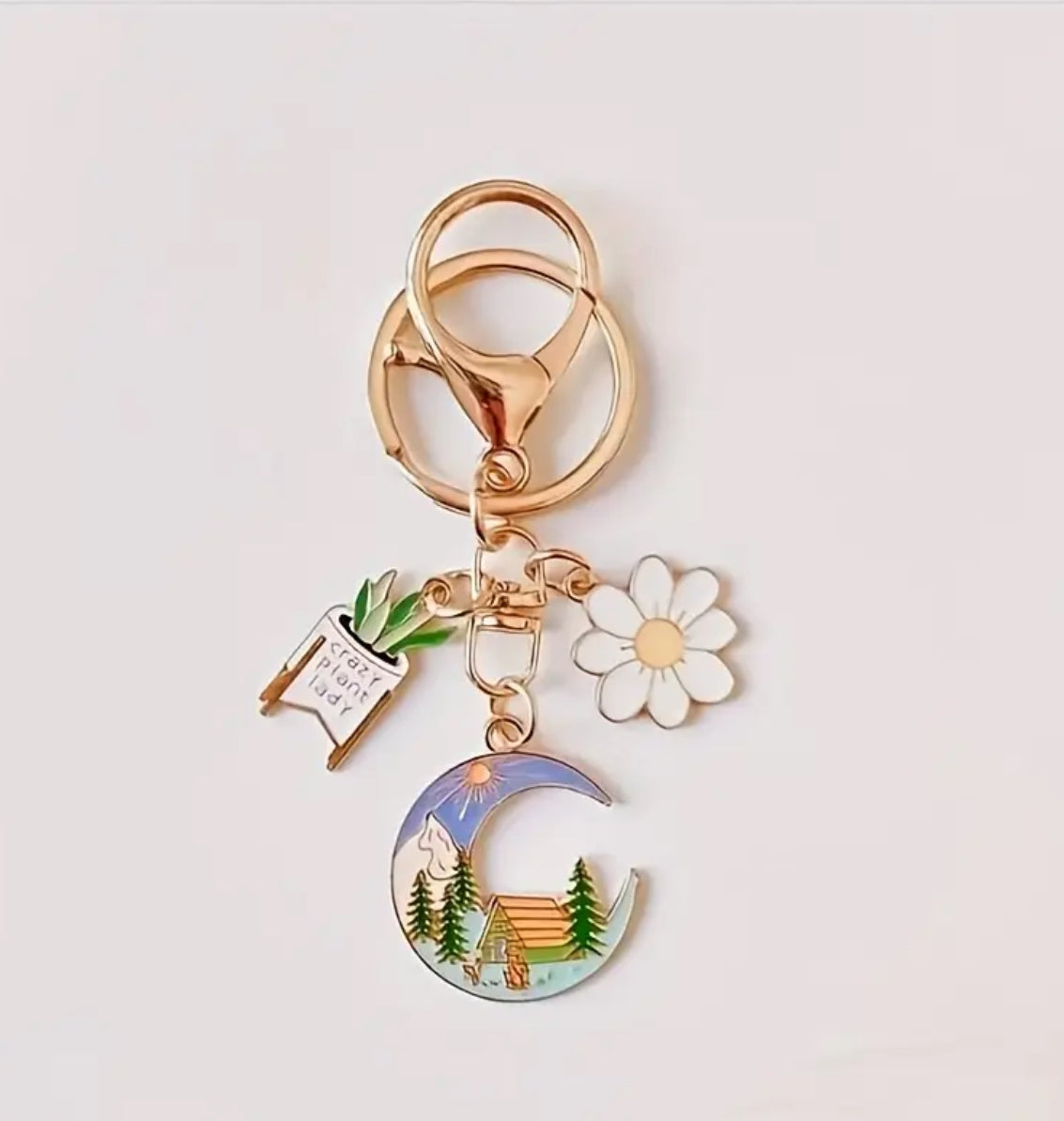 Assorted Keychains