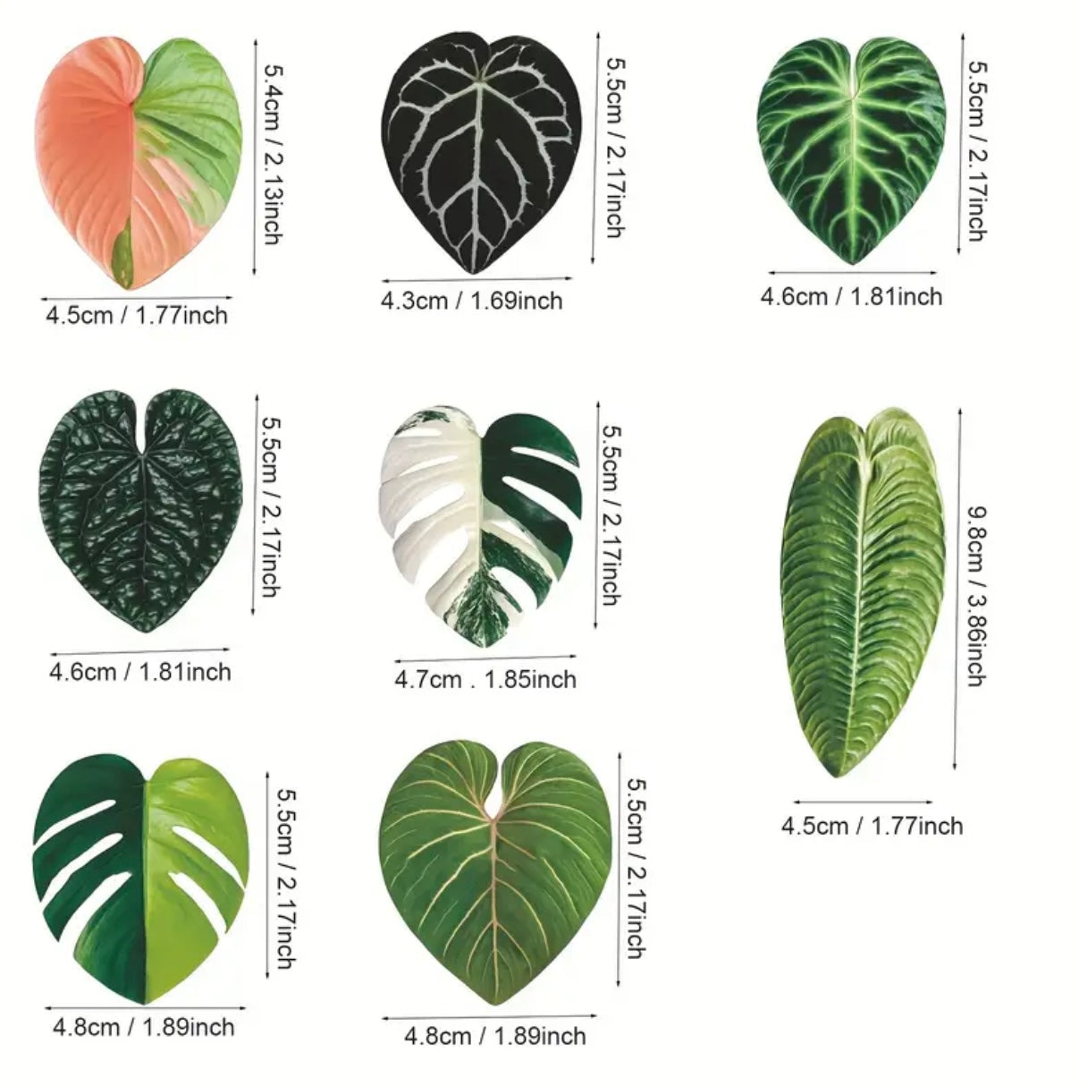 Plant Inspired Fridge Magnets
