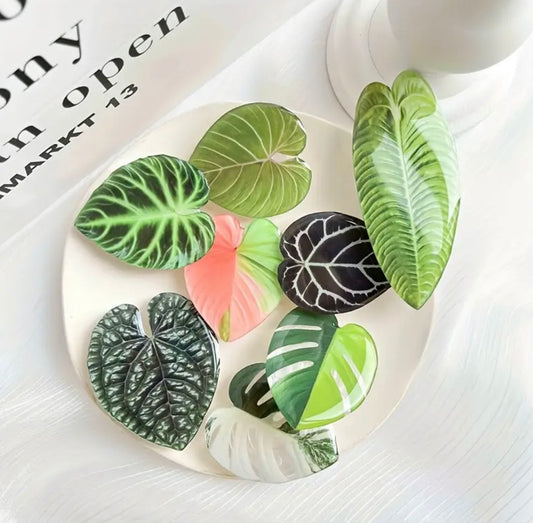 Plant Inspired Fridge Magnets