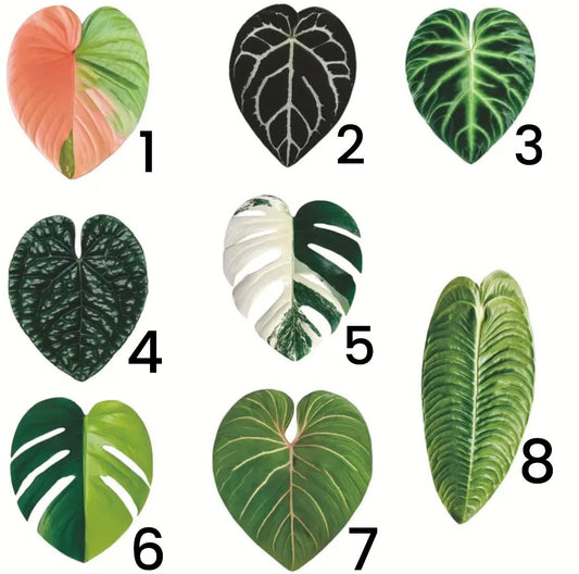 Plant Inspired Fridge Magnets